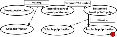 Discovery of novel secretome CAZymes from Penicillium sclerotigenum by bioinformatics and explorative proteomics analyses during sweet potato pectin digestion